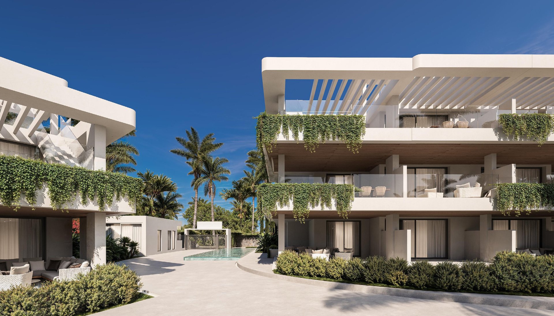 Building courtyard facade with pergola and palm trees