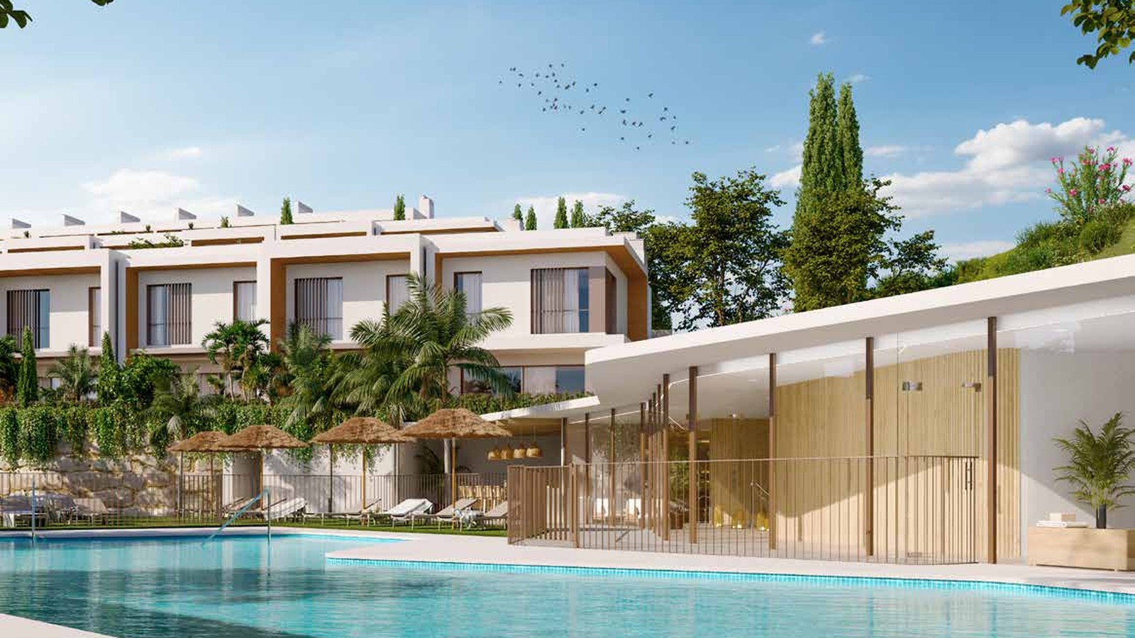 The communal pool below the houses